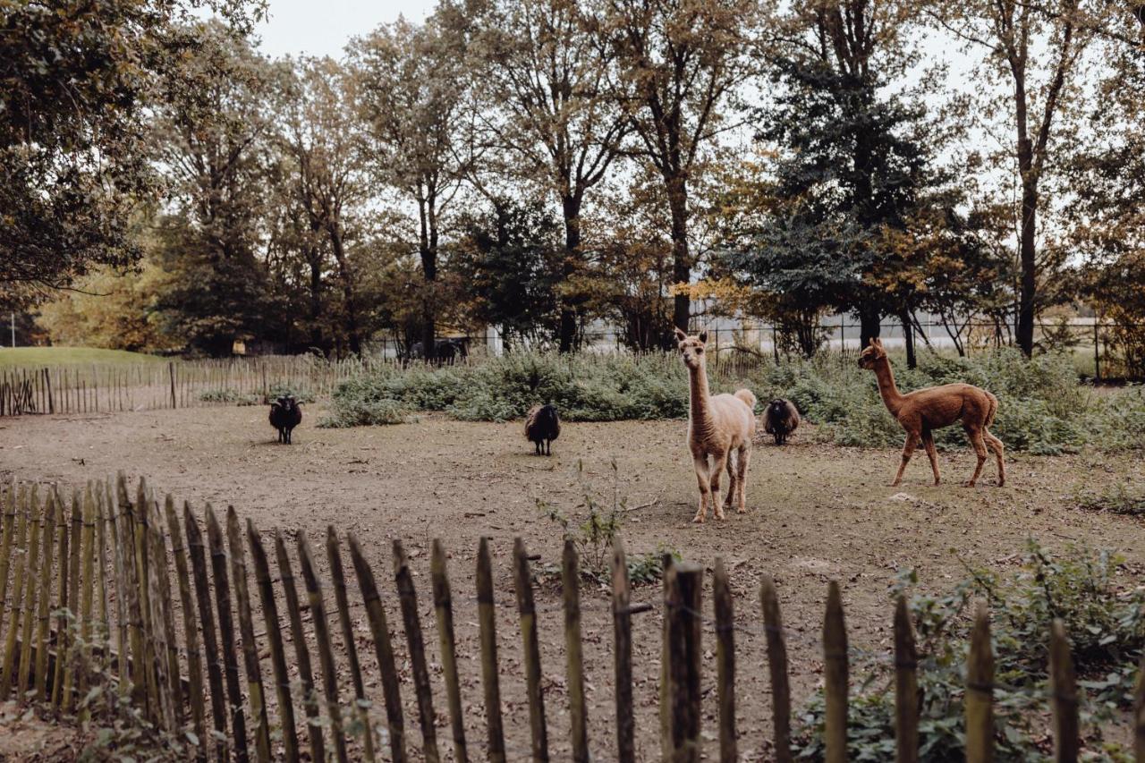 Вилла Het Hilkensberg Park Broekhuizen  Экстерьер фото