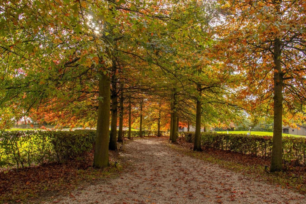 Вилла Het Hilkensberg Park Broekhuizen  Экстерьер фото